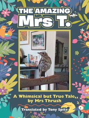 cover image of The Amazing Mrs T.